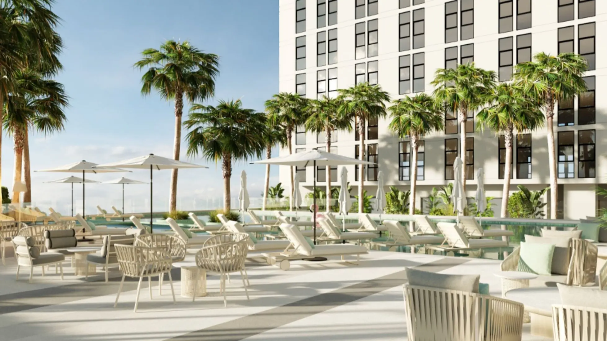 Palm lined pool loungers